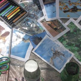 The Taos Youth Art & Biodiversity Project